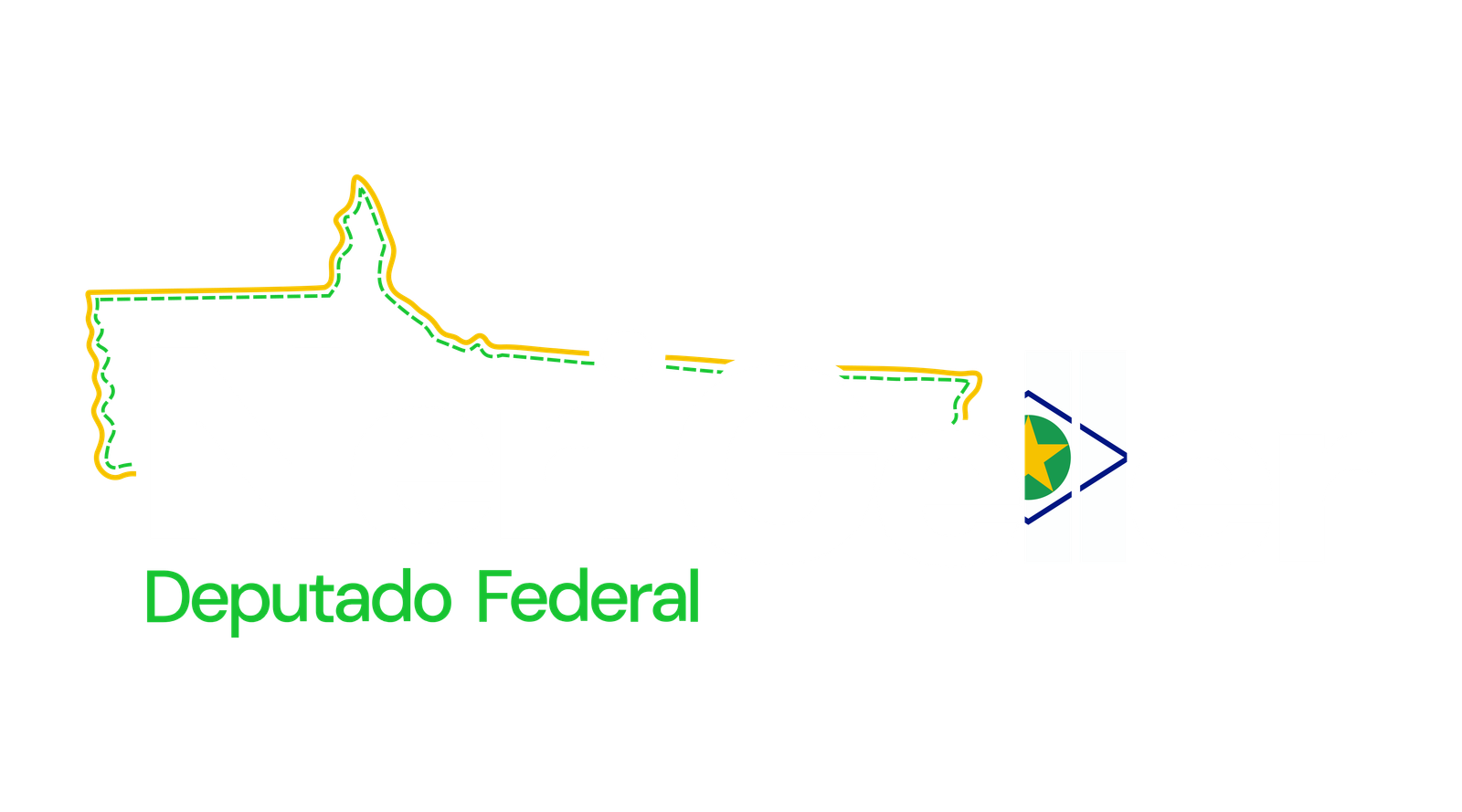Neri Geller